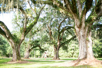ParkWest-10