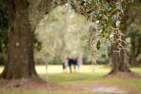 Family Photos-17